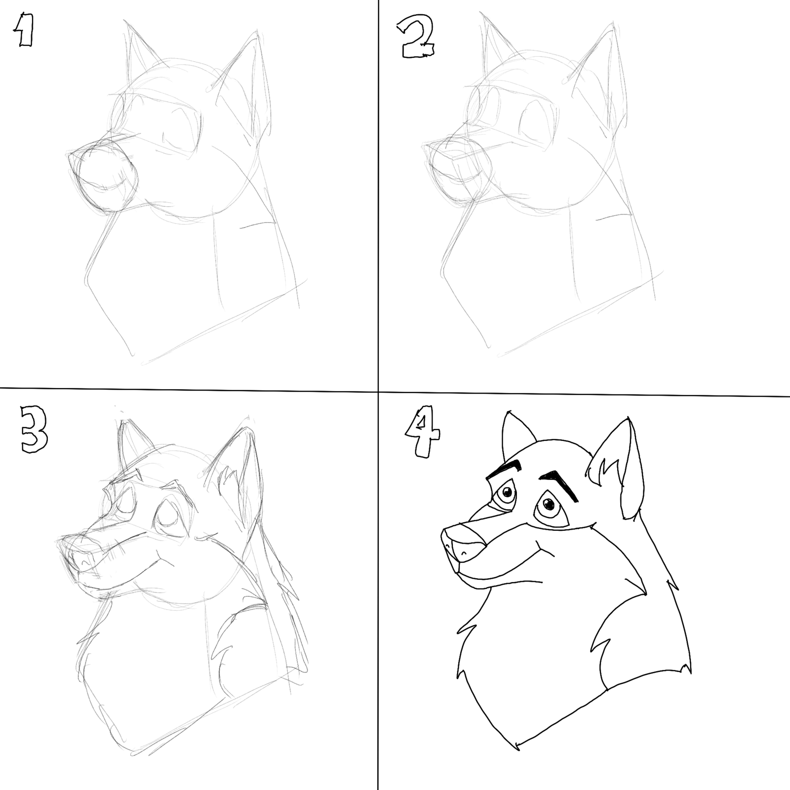 1600x1600 How To Draw A Wolf's Head, Step By Step By Shadow D Husky