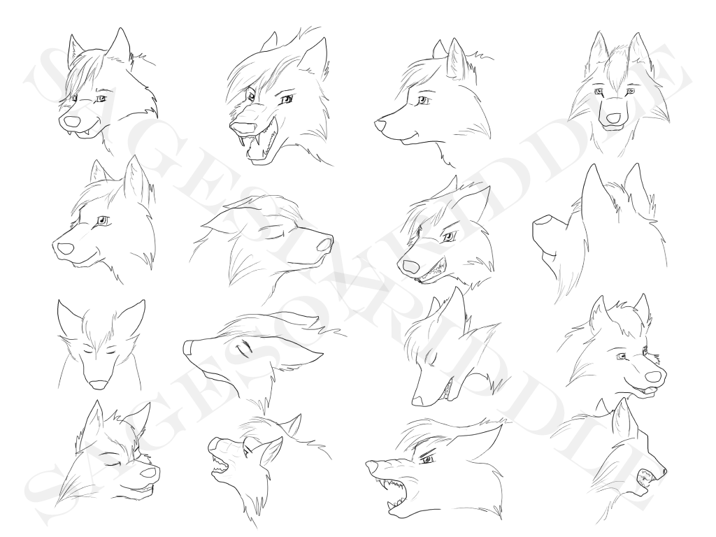 1024x768 Wolf Head Sketches By Sagesinriddle