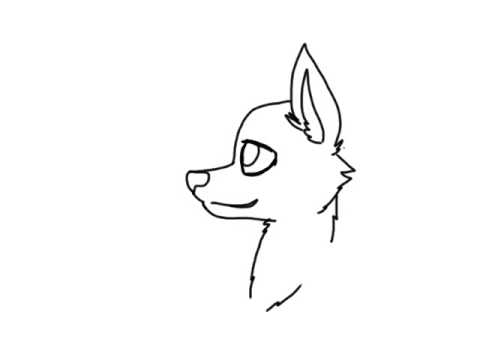 480x360 Wolf Head Turning Back And Forth