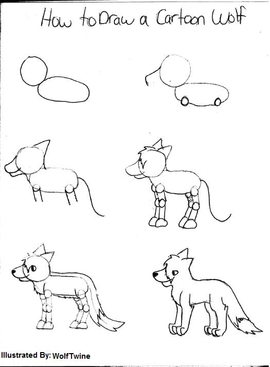 525x713 How To Draw A Wolf Head Step By Step For Beginners