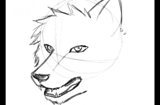 640x420 Tag For Easy To Draw How To Draw An Easy Face Step. Cow Step By