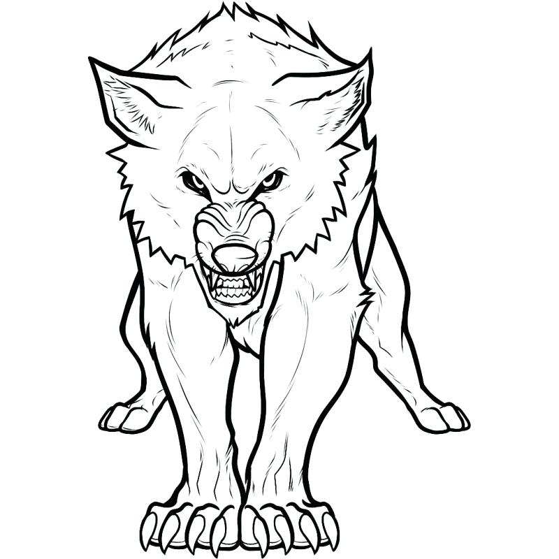 800x800 Wolf Coloring Pages To Print Free Printable Wolf Coloring Pages