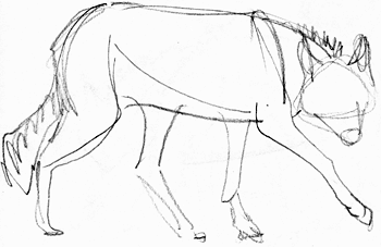 350x227 Wolfwalking4.gif