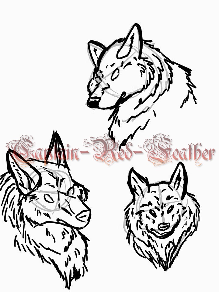 720x960 Wolf Head Practice By Captain Red Feather