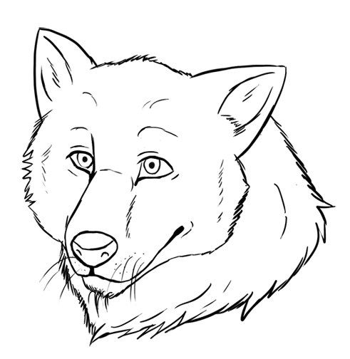 491x504 Wolf Head Lineart By Ninjadingo