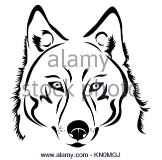 325x320 Howling Wolf Isolated On Background. Vector Illustration Stock