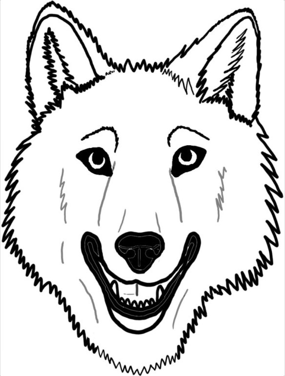 585x772 Drawing White Wolf Face Drawing In Conjunction With Wolf Face
