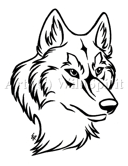 440x568 Easy Wolf Head Drawing