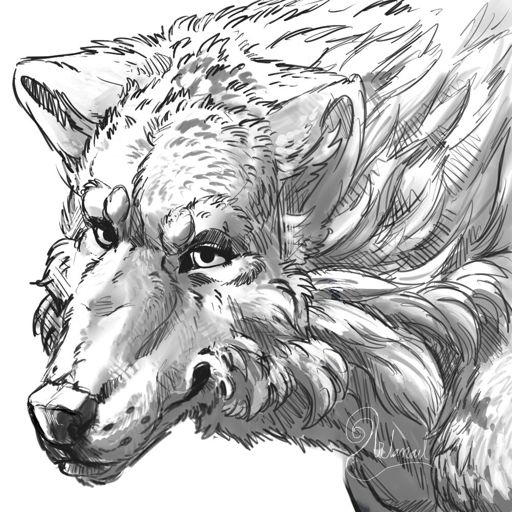 512x512 Wolf Pack Amino Amino