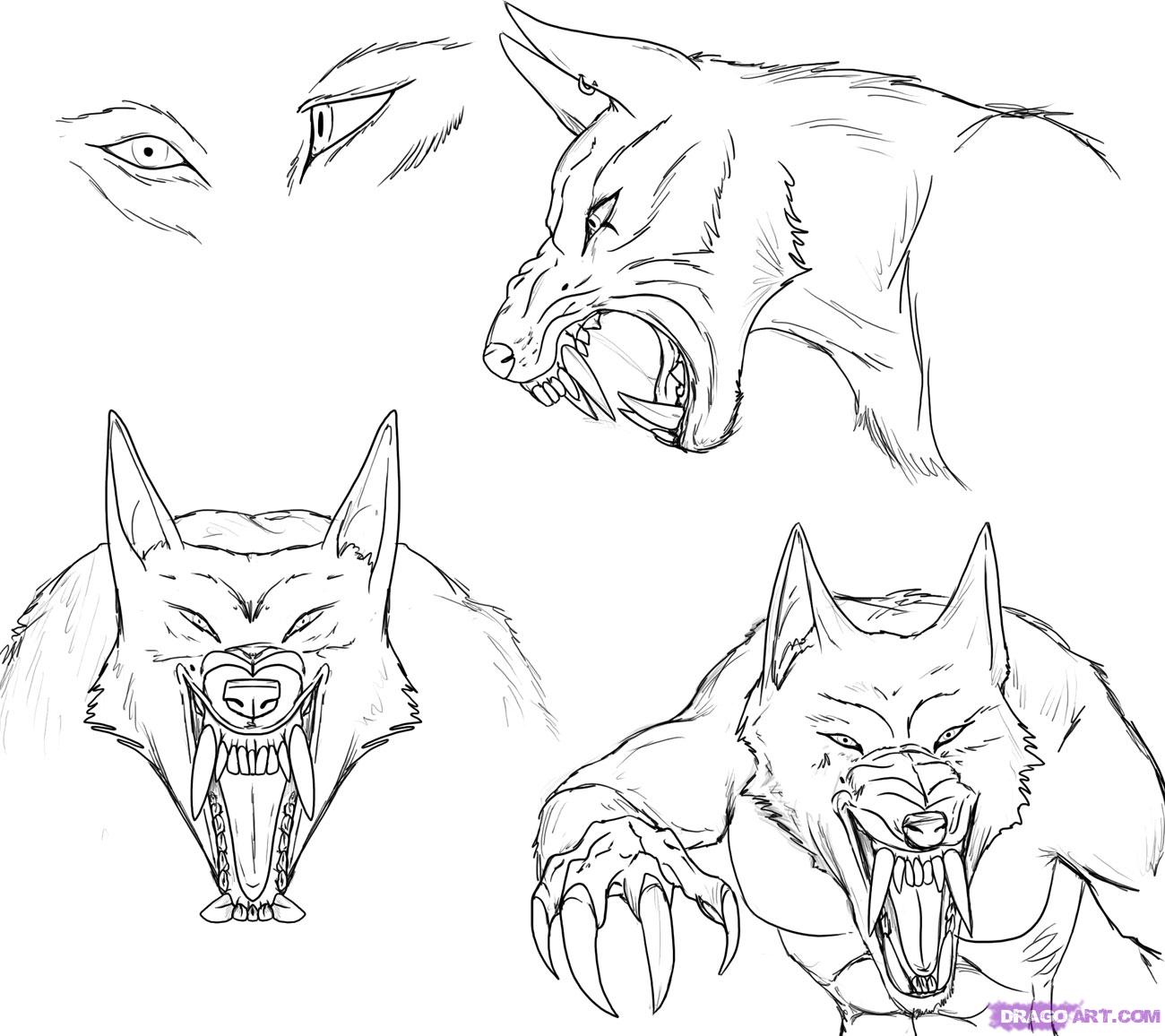 1300x1156 How To Draw A Werewolf Face, Head, Eyes Step 6 My Next Tattoo