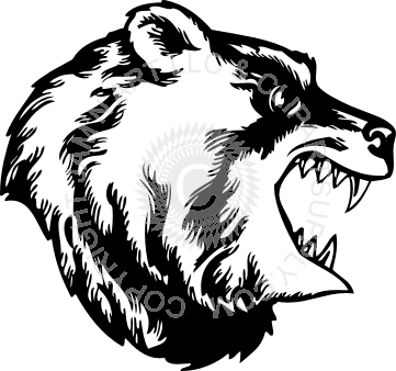 361x338 View Of Bear With Open Mouth