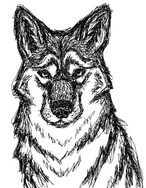 481x617 Wolf Head Howling