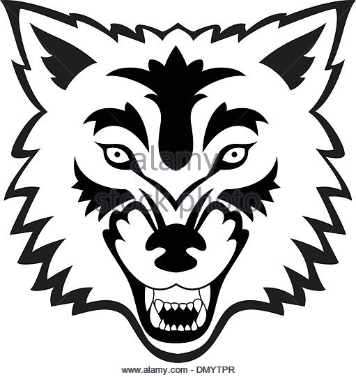 511x540 Wolf Head Tattoo Stock Photos Amp Wolf Head Tattoo Stock Images