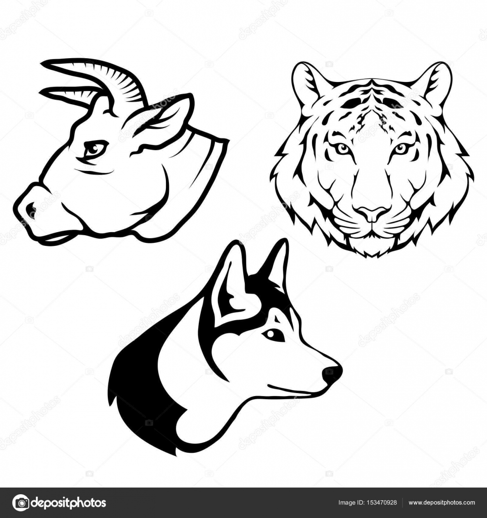 963x1024 Bull Bear And Wolf Heads Logos Stock Vector Korniakovstock