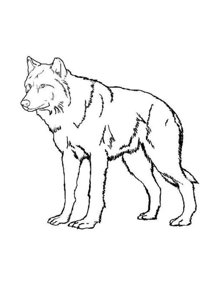 750x1000 Wolf Coloring Pages. Download And Print Wolf Coloring Pages
