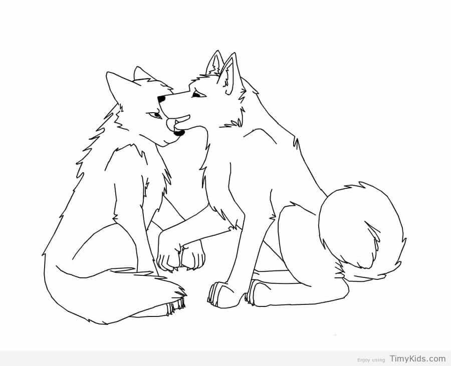 900x731 Coloring Pages Cute Beautiful Wolf Howling Royalty Free Stock