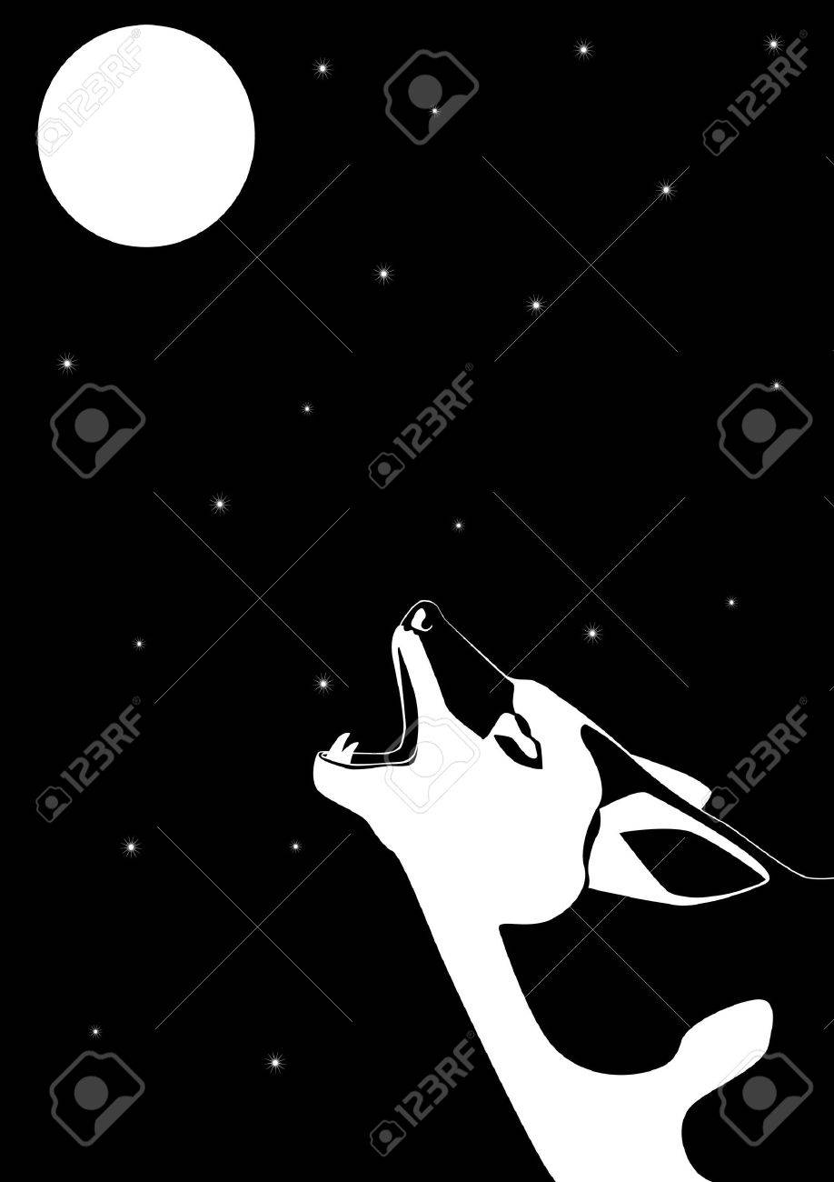 918x1300 Wolf Howling At The Moon. Black And White Illustration. Royalty