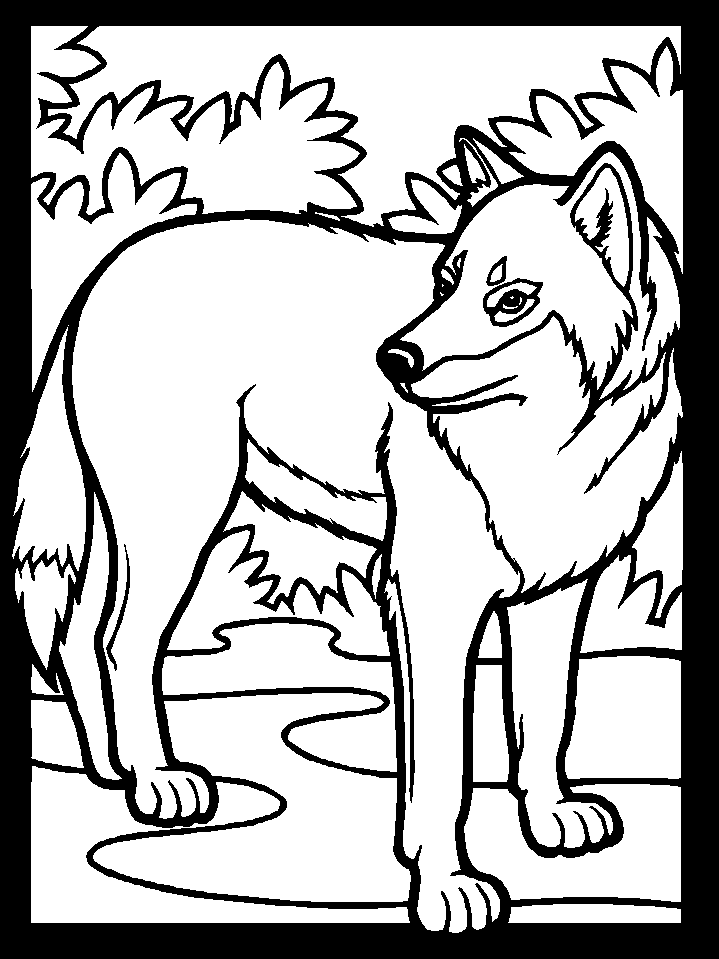 719x959 Cute Wolf Coloring Pages Wolf Big Bad Wolf Scary Angry Wolf