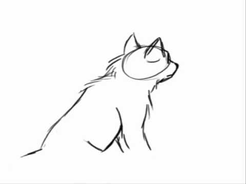 480x360 Wolf Howl Animation