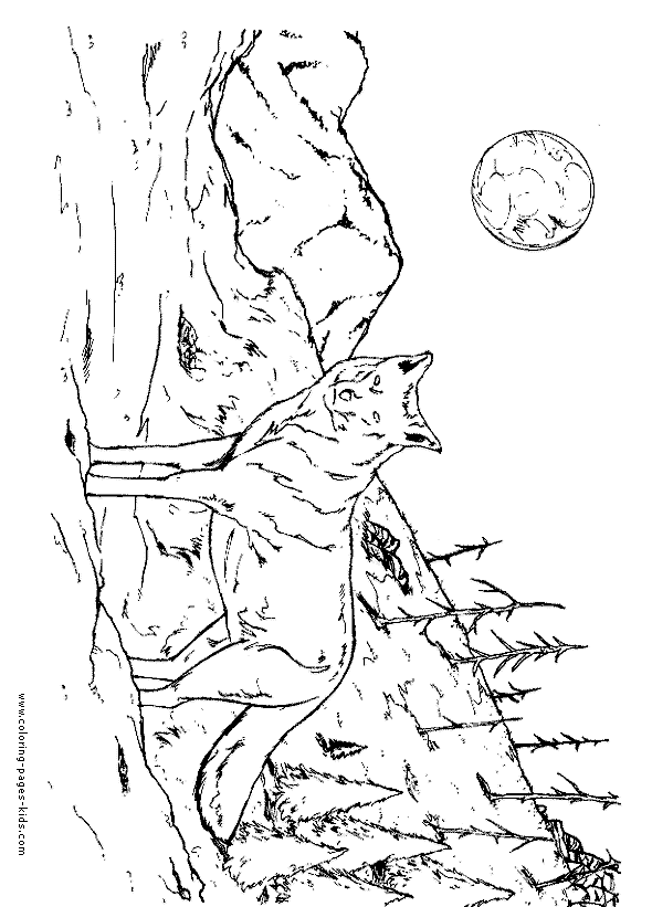 590x821 Wolf Coloring Pages, Color Plate, Coloring Sheet,printable