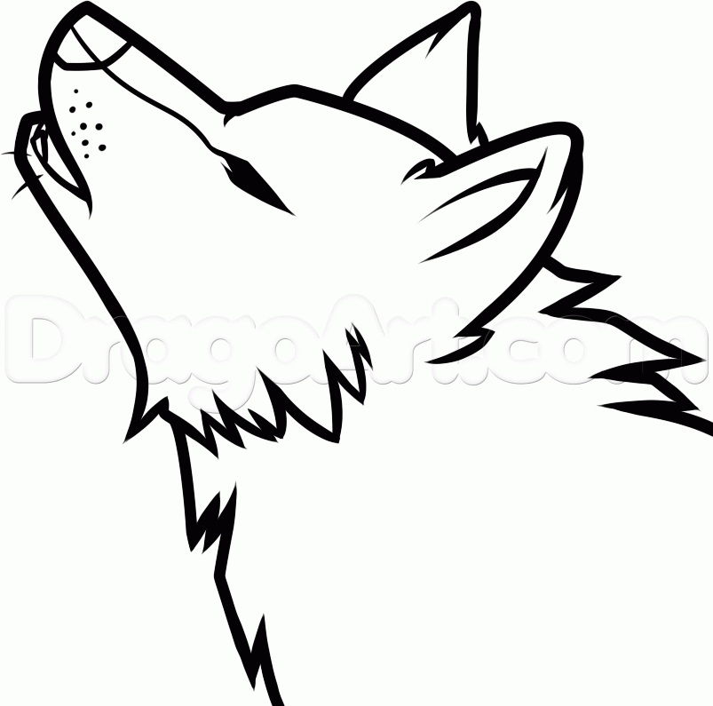 803x795 Drawn Howling Wolf Easy
