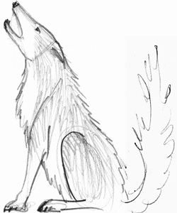 250x300 Drawn Howling Wolf Wolf Standing