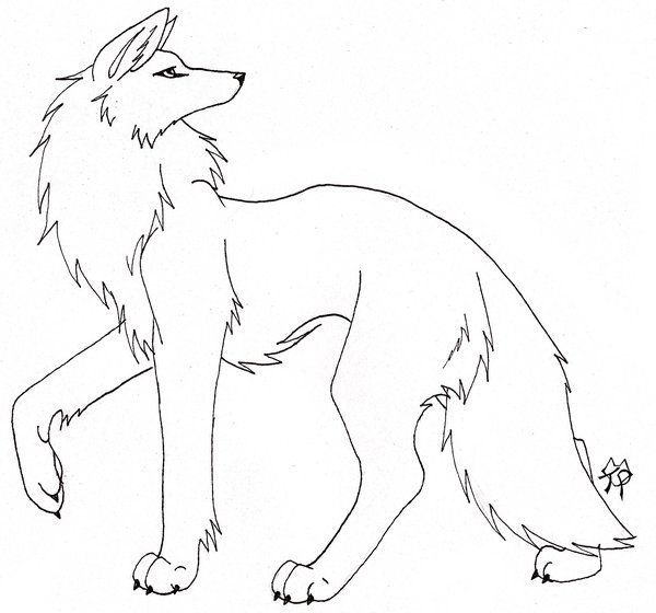 600x560 Noir Wolf Line Art By Captainmorwen