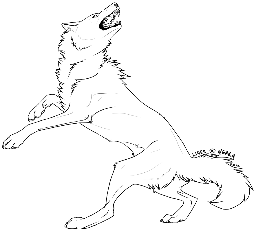 884x803 Angry Wolf Contortion Free Lineart By Neara Works