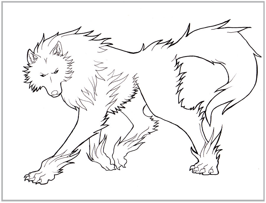 900x687 Wolf Lines By Arvalis