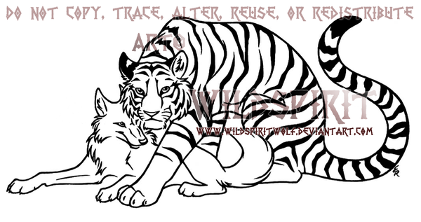 600x317 Tiger And Wolf Lovers Lineart By Wildspiritwolf
