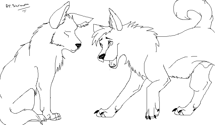 746x436 Animal For Adopting's Favourites