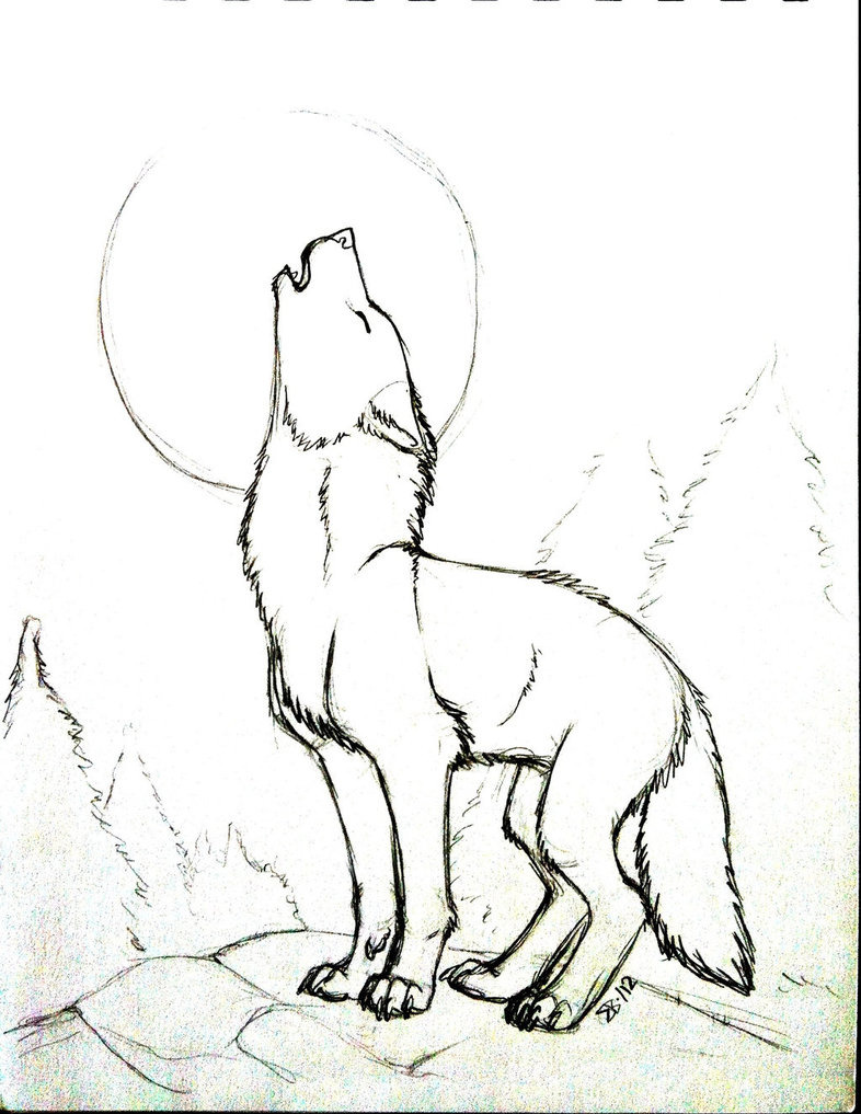 786x1017 One Wolf Howling