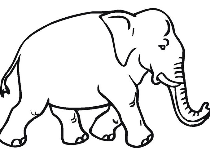 Wolf Outline Drawing