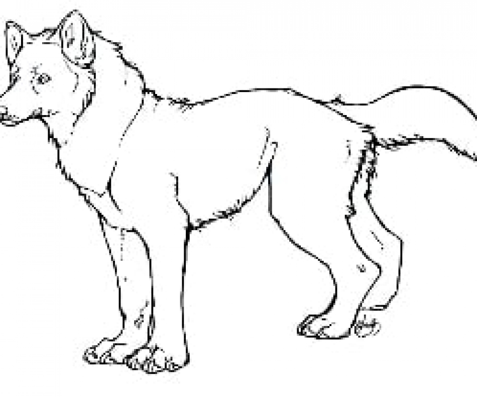 950x790 Outline And Coloring Pictures For Small Kids