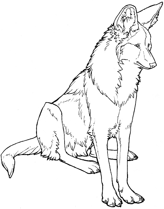 546x693 Sitting Wolf Lineart By On @