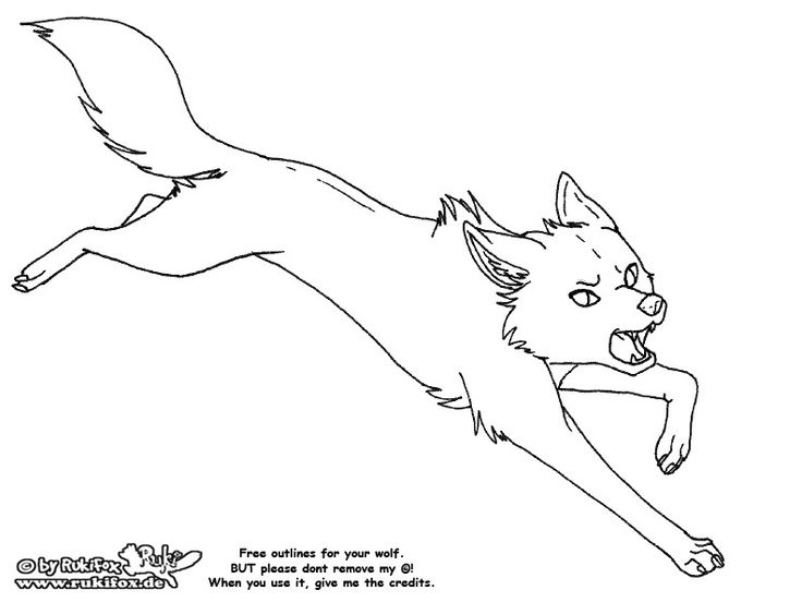 736x552 Wolf Outline Free Clip Arts Sanyangfrp