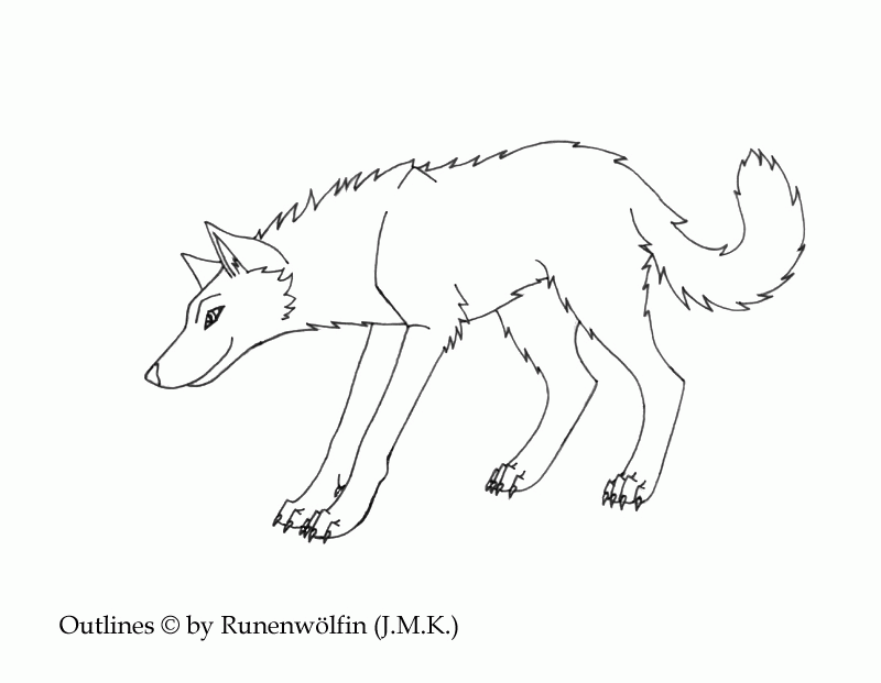800x621 Wolf Outline Drawing 281476