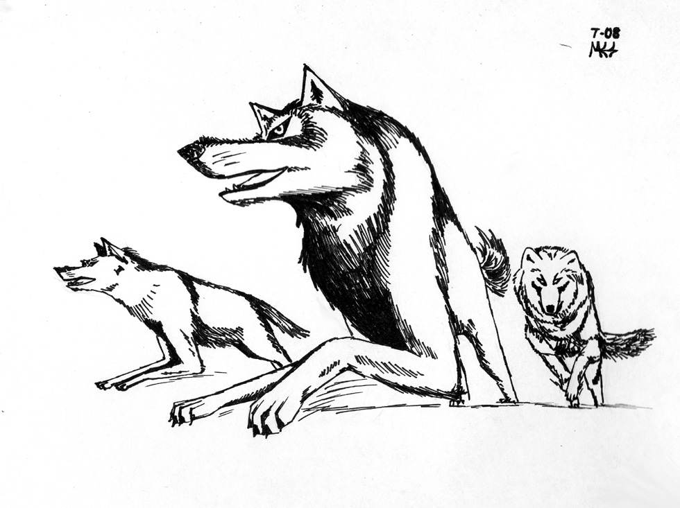 980x733 Wolf Pack Run By Dragonwolface