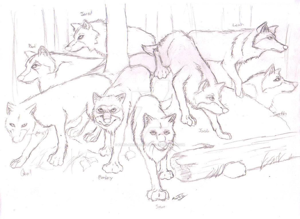 1047x764 Eclipse Wolf Pack S By Fang Angel Of Death