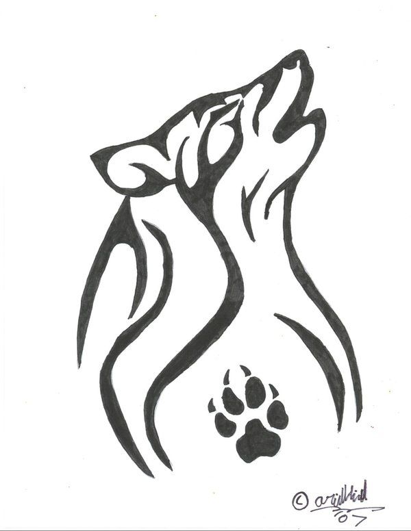 Wolf Paw Drawing