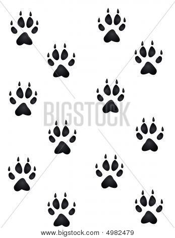 347x470 Wildlife Paw Prints Stock Vector