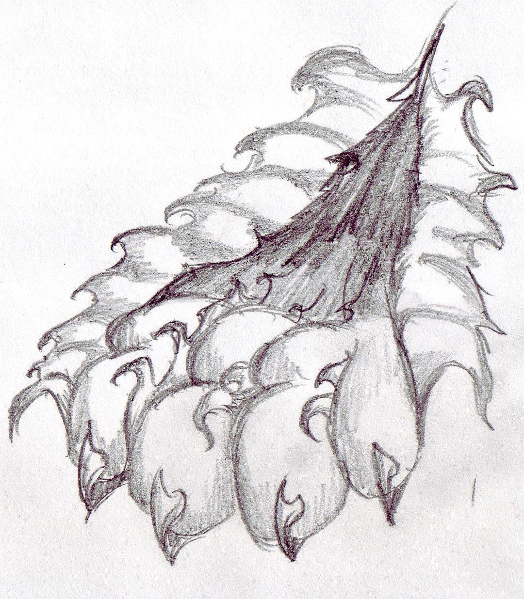 1080x1236 Wolf Paw Scratch By Fireflash888