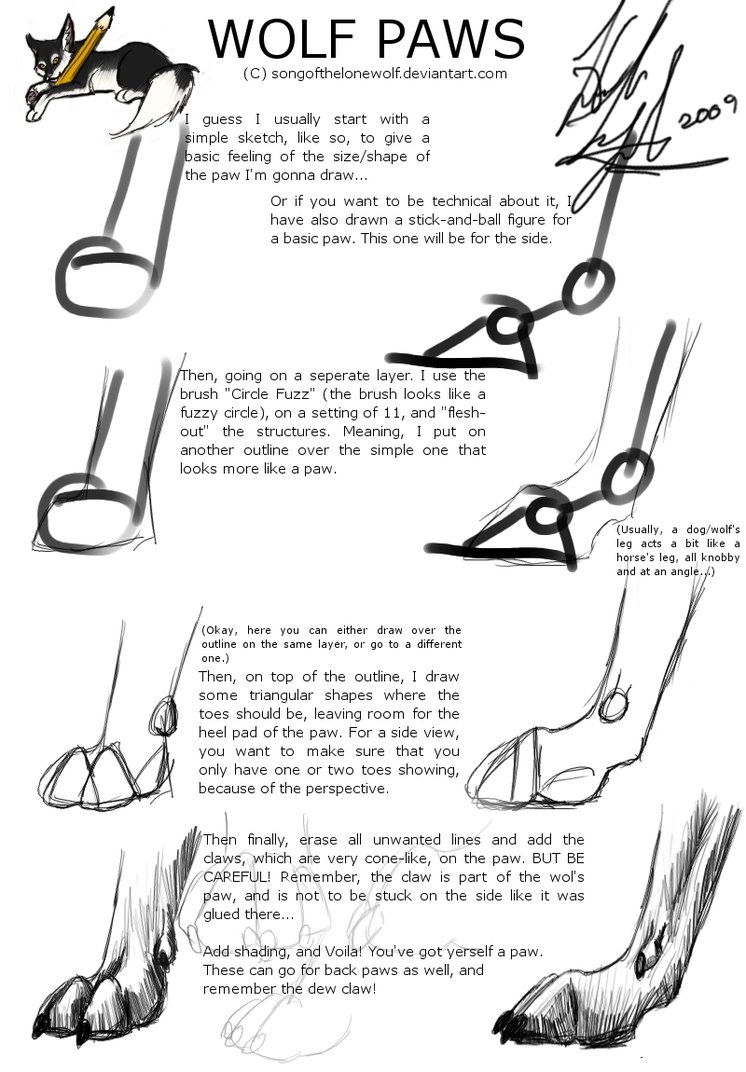 746x1072 A How To On Wolf Paws Creatures Wolf