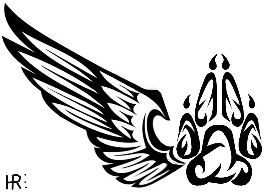 900x658 Wing And Paw By Ulfhedinn