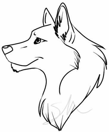 366x443 Drawn Pitbull Wolf