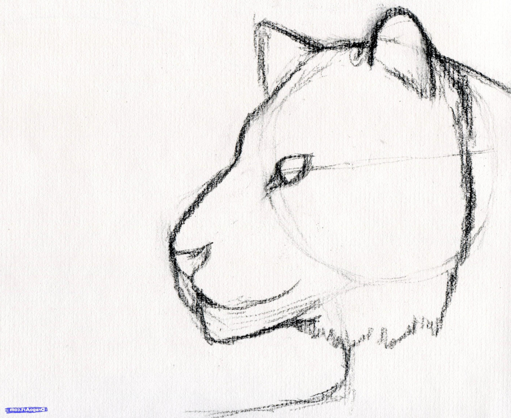 1024x837 Face Sketch Step By Step 3d How To Draw A Wolf