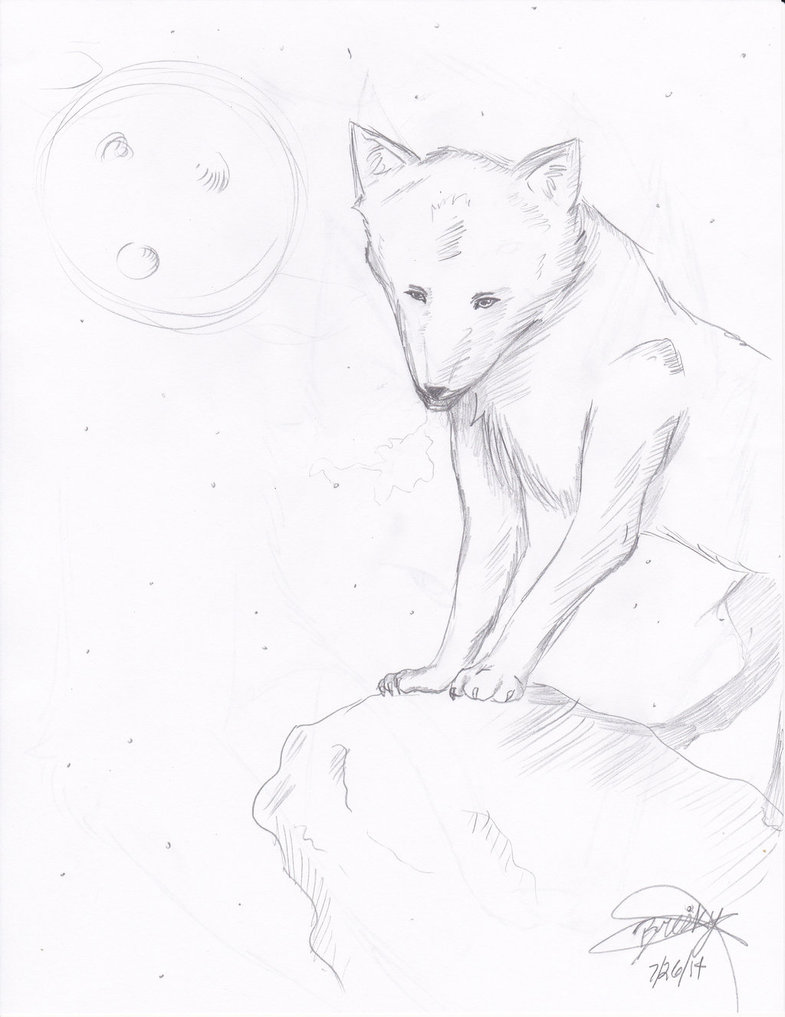785x1017 Wolf On A Cliff
