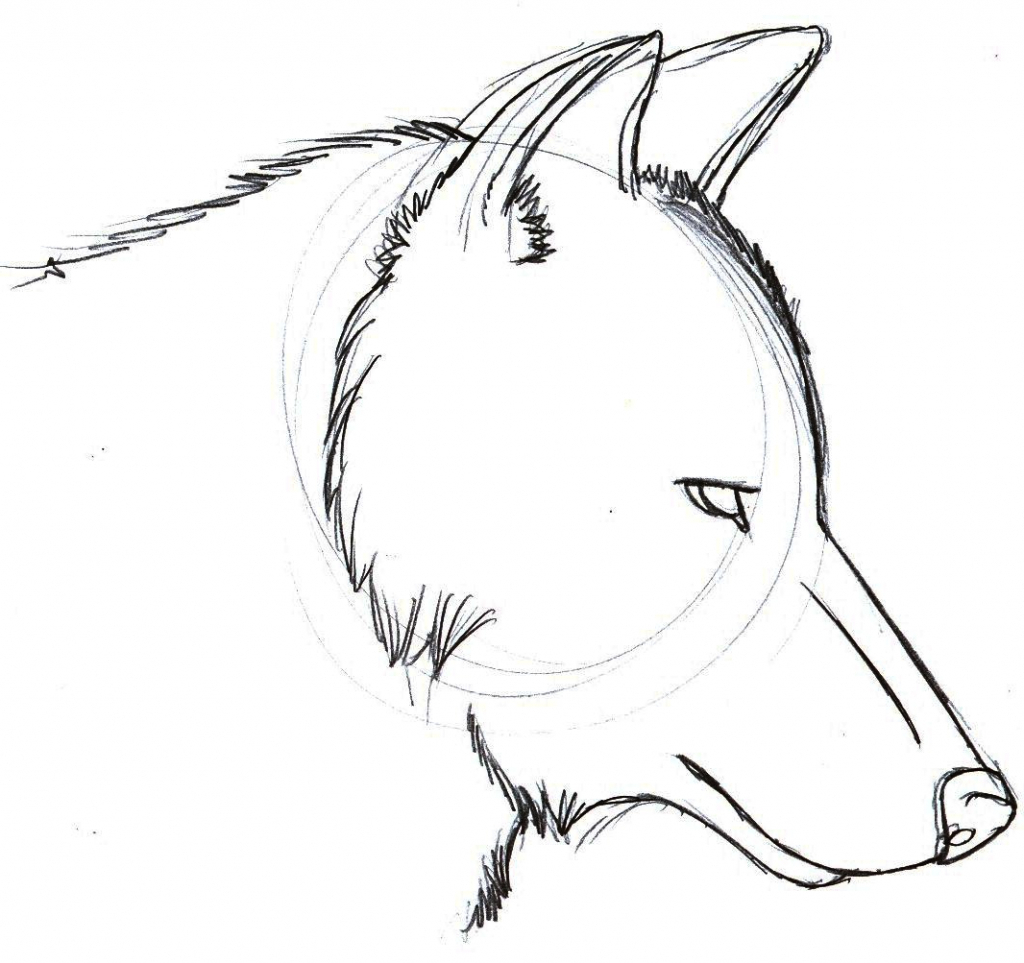 1024x963 Easy Drawings Of Wolves Easy Drawing Of A Wolf