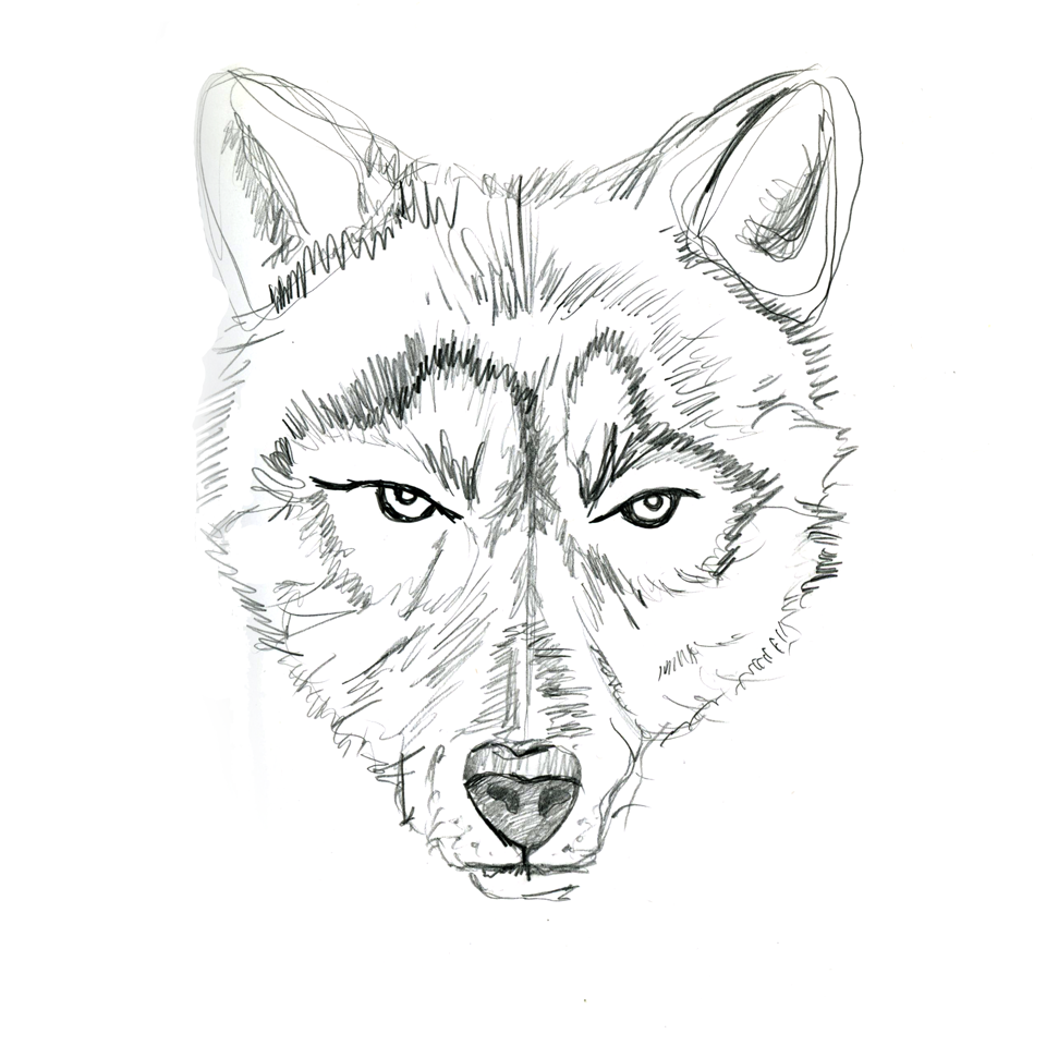 960x960 Drawings Amp Sketches Caterina Caligiuri