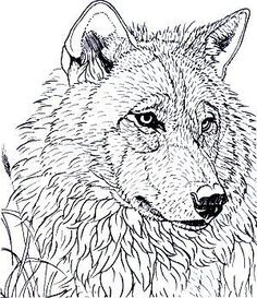 236x273 Free Printable Wood Burning Patterns Woodburning Wolf Portrait